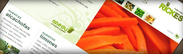 anedu_web_Ixotype - Porfolio - Anedu - Vega Baja - Diseño web - Identidad corporativa - Logotipo - Catálogo de productos - Diseño de packaging de producto - Fotografía de producto (bodegón) Ixotype - Porfolio - Anedu - Vega Baja - Diseño web - Identidad corporativa - Logotipo - Catálogo de productos - Diseño de packaging de producto - Fotografía de producto (bodegón)