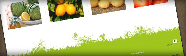 Ixotype - Porfolio - Anedu - Vega Baja - Diseño web - Identidad corporativa - Logotipo - Catálogo de productos - Diseño de packaging de producto - Fotografía de producto (bodegón) Ixotype - Porfolio - Anedu - Vega Baja - Diseño web - Identidad corporativa - Logotipo - Catálogo de productos - Diseño de packaging de producto - Fotografía de producto (bodegón)