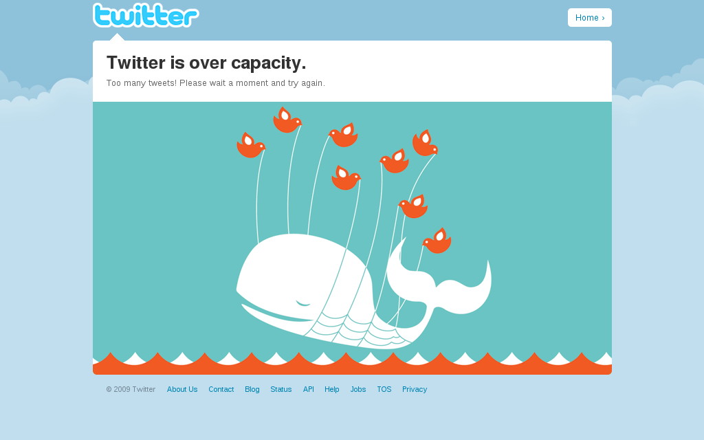 Ixotype - Blog - Ballena Twitter antes