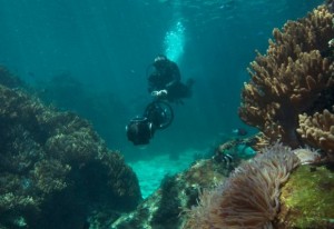 Ixotype - Blog - Google Seaview