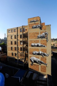 Ixotype - Blog - ROA I Art Joburg