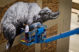 Ixotype - Blog - ROA I Art Joburg