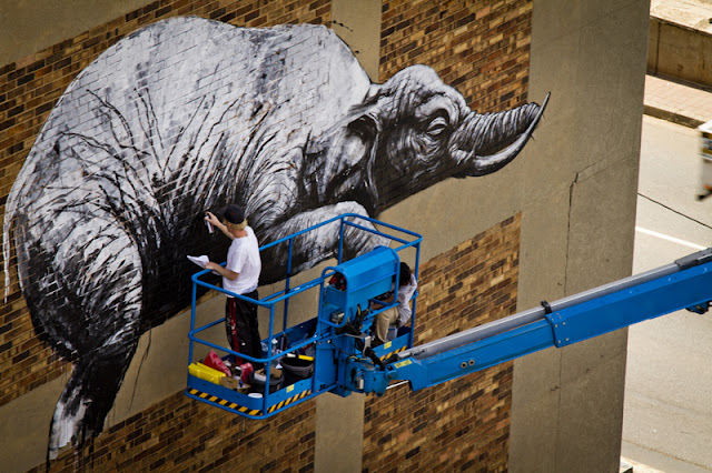 Ixotype - Blog - ROA I  Art Joburg